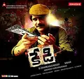 Kedi poster