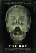 The Bay poster
