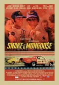 Snake & Mongoose poster