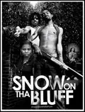 Snow on tha Bluff poster
