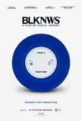 BLKNWS: Terms & Conditions poster