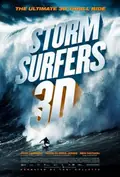 Storm Surfers poster