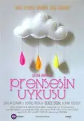 Sleeping Princess poster