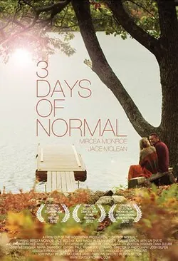 3 Days of Normal poster