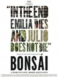 Bonsai poster