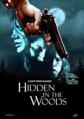 Hidden in the Woods poster