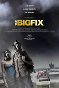 The Big Fix poster