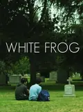 White Frog poster
