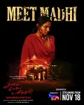 Anel Meley Pani Thuli poster