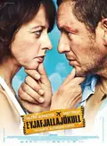The Volcano poster