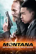 Montana poster