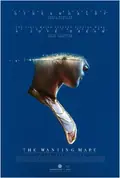 The Wanting Mare poster