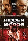Hidden in the Woods poster