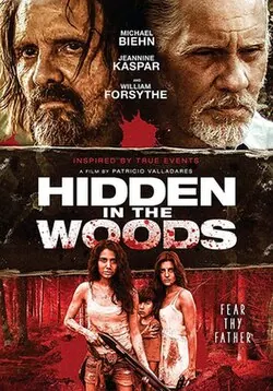 Hidden in the Woods poster