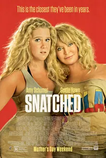Snatched poster