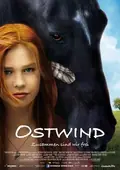 Windstorm poster
