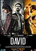 David poster