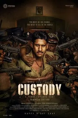 Custody poster