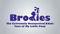Bronies: The Extremely Unexpected Adult Fans of My Little Pony poster