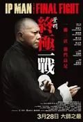 Ip Man: The Final Fight poster