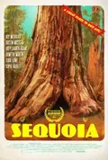 Sequoia poster