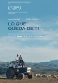 The Remnants of You poster