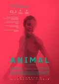 Animal poster