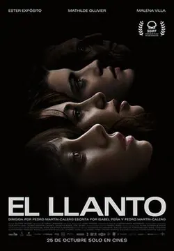 The Wailing poster