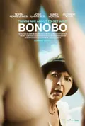 Bonobo poster