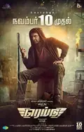 Raid poster