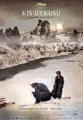 Winter Sleep poster