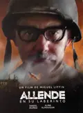 Allende in His Maze poster