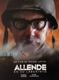 Allende in His Maze poster