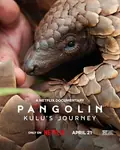 Pangolin: Kulu's Journey poster