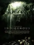 Indigenous poster