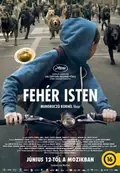 White God poster