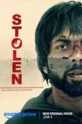 Stolen poster