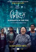 Elephants in the Fog poster