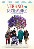 Family Affairs poster