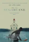 Sugarcane poster