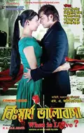 Nisshartho Bhalobasha: What Is Love! poster