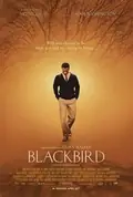 Blackbird poster