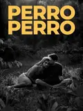 Perro Perro poster