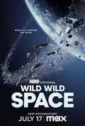 Wild Wild Space poster