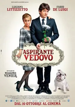 Aspirante vedovo poster