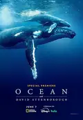 Ocean with David Attenborough poster
