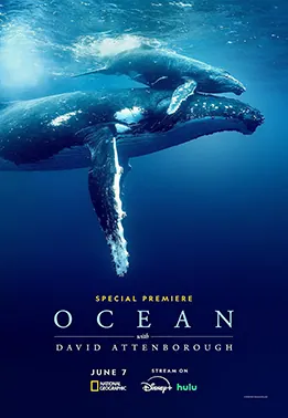 Ocean with David Attenborough poster
