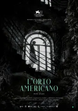 The American Backyard poster
