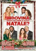 Indovina chi viene a Natale? poster