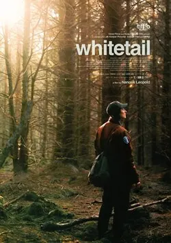 Whitetail poster